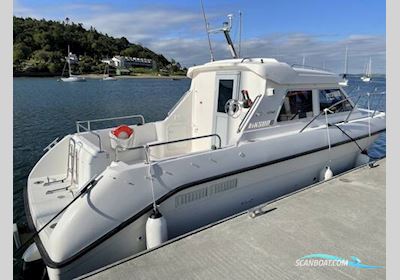 Viksund 260 St Cruz Motorboot 2002, mit Volvo motor, Irland