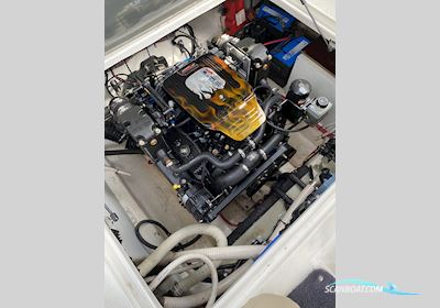 Wellcraft 2400 Martinique Motorboot 2003, Dänemark