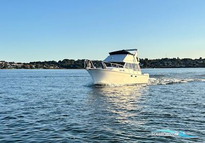 Bayliner 3288 Flybrigde Motorboten 1989, met Hino motor, Denemarken