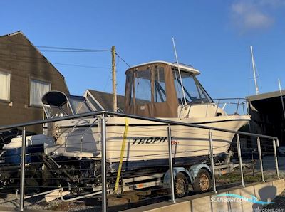 Bayliner Trophy 2052 WA Motorboten 2006, met Cummins MerCruiser motor, Ierland