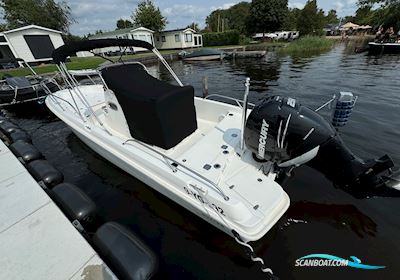 Boston Whaler 240 Dauntless Motorboten 2014, met Mercury Verado motor, The Netherlands
