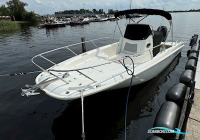 Boston Whaler 240 Dauntless Motorboten 2014, met Mercury Verado motor, The Netherlands