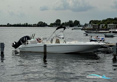 Boston Whaler 240 Dauntless Motorboten 2014, met Mercury Verado motor, The Netherlands