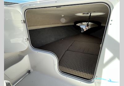 Campion 595 SC Motorboten 2024, met Yamaha F250Aetx motor, Denemarken