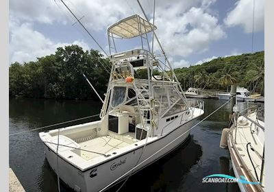 Carolina Skiff Classic 28 Motorboten 2002, met Cummins motor, USA