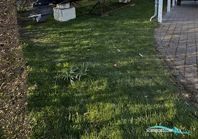 Coronet 26 Family Sport Motorboten 1978, met Mercruiser 350 Mag HO motor, Denemarken