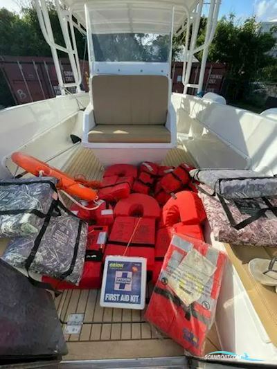Donzi ZF 33 Motorboten 1989, met Evinrude motor, Virgin Islands