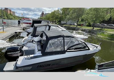 Falcon BR 6 Motorboten 2018, met Mercury motor, Sweden