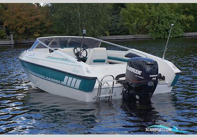 Fletcher Bravo 16 Arrowsport Motorboten 1993, met Evinrude motor, The Netherlands