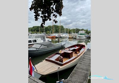 Frolic 31 Motorboten 2021, met Water World motor, The Netherlands