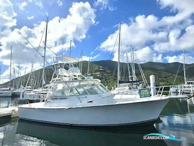 Henriques 35 Express Motorboten 2000, met Volvo Penta motor, Virgin Islands