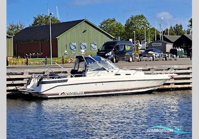 Nimbus Nova 29 Motorboten 1999, met Volvo Penta Kad44Edc motor, Denemarken