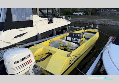 REBEL 24 S Motorboten 2004, met Evinrude  motor, Sweden