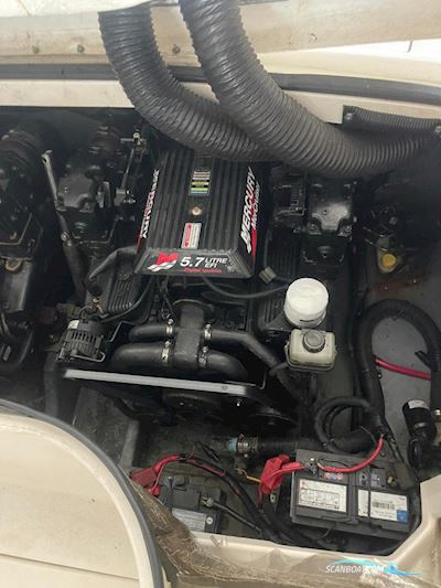 Sea Ray  280 SunSport Cuddy Cabin Motorboten 2001, met Mercruiser  motor, The Netherlands