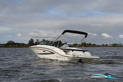 Sea Ray 19 SPX Motorboten 2016, The Netherlands