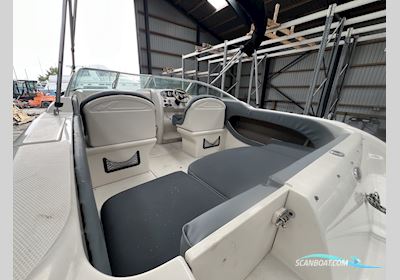 Sea Ray 225 weekender Motorboten 2002, met Mercruiser motor, Denemarken