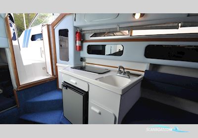 Sea Ray 250 Motorboten 1989, met  Mercruiser motor, Sweden