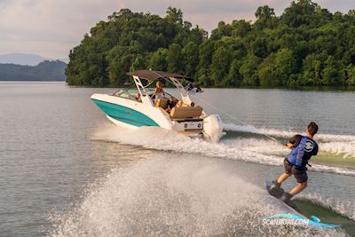 Sea Ray Sdx 250 OB Motorboten 2025, met Mercury motor, Denemarken