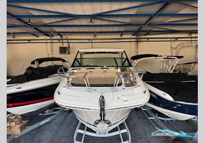 Sea Ray Sundancer 320 Motorboten 2025, The Netherlands