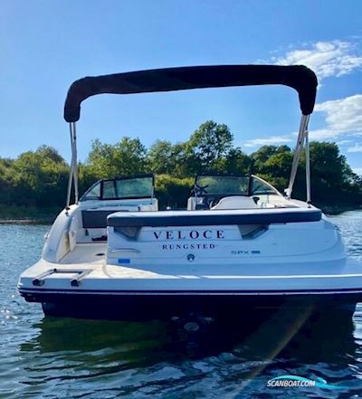 Searay 190 spx Motorboten 2019, met MerCruiser motor, Denemarken