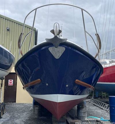 Seaward Marine 29 Motorboten 1994, met Yanmar motor, Ierland
