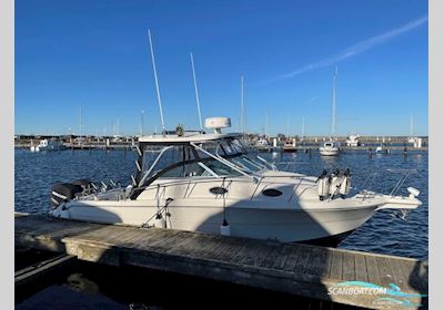 Wellcraft 290 coastal  Motorboten 2001, met Mercury Verado motor, Denemarken