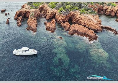 Wellcraft 38 T-Top Motorboten 2025, met Mercury Verado motor, Denemarken