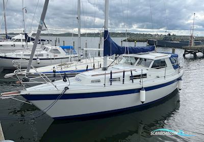 LM 30 Motorsailer 1980, with Bukh engine, Denmark
