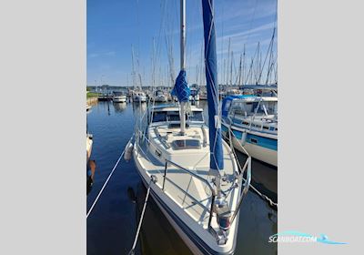 LM Boats LM 28 Motorsailer 1986, with Bukh engine, Germany