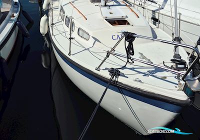 LM27-Augusttilbud! Motorsailer 1978, with Bukh30 engine, Denmark