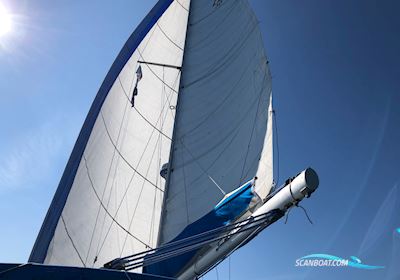 LM30 Motorsailer 1983, with Bukh DV36 engine, Denmark