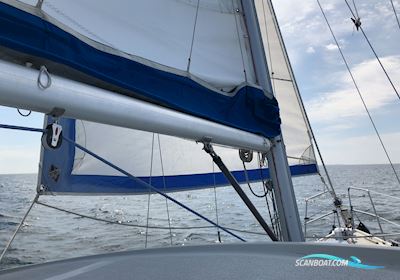 LM30 Motorsailer 1983, with Bukh DV36 engine, Denmark