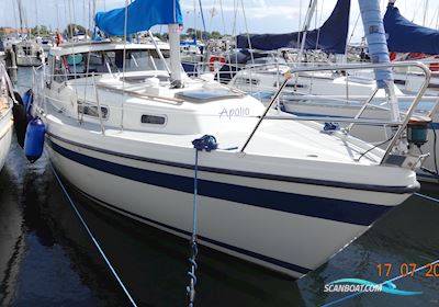 Lm 28 Motorsailer 1986, with Bukh DV 24 engine, Denmark
