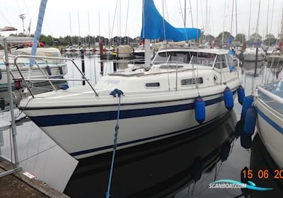 Lm 28 Motorsailer 1986, with Bukh DV 24 engine, Denmark