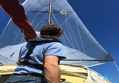 Draco Summerwind 24