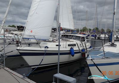 Lm 28 Motorseglar 1986, med Bukh DV 24 motor, Danmark