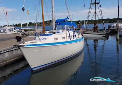 Malö 40