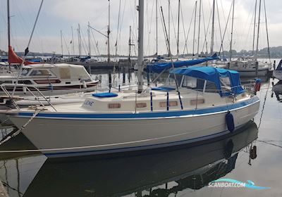 Malö 40