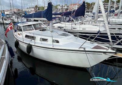 Venus 31 Motorseglar 1978, med Perkins 4108 motor, Danmark