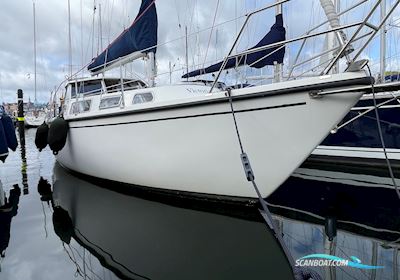 Venus 31 Motorseglar 1978, med Perkins 4108 motor, Danmark