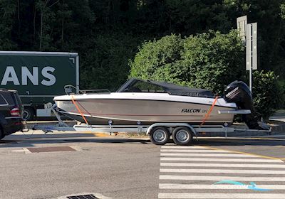 Falcon BR 7 Motorsegler 2018, mit Mercury F150 motor, Deutschland