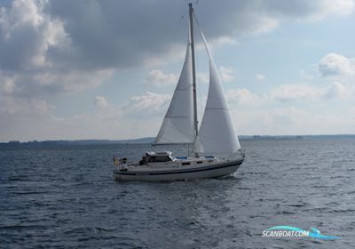 LM 28  Motorsegler 1989, mit Volvo Penta 2003 marinediesel motor, Dänemark