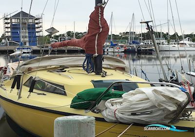 Draco Summerwind 24