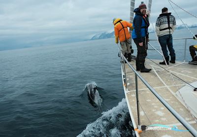 Kempers 49 Motorsejler 1990, med Beta motor, Norge