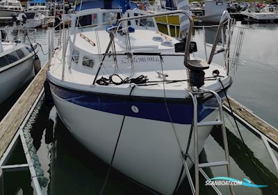LM27