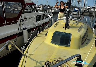 Draco Summerwind 24