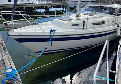 Lm 28 Købsaftale Ude Motorzeiler 1986, met Bukh DV24 motor, Denemarken