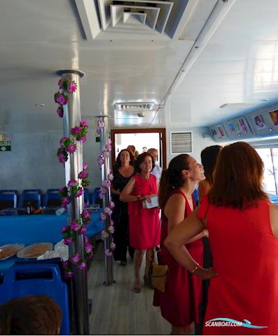 Commercial Trimaran Multi hull boat 2002, with Doosan L-126Tih engine, Spain