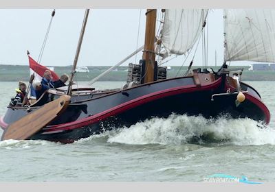 Lemsteraak Corneel - De Boer Roefaak 12.85 Multihull boten 1998, The Netherlands
