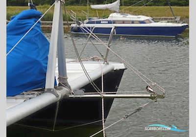 Rhebergen Havkat 31 Multihull boten 1992, met Honda 15BF motor, The Netherlands